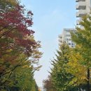 가을 우체국 앞에서 그대를 기다린다거나