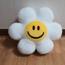 스마일 Smile | 😊위글위글 Smile We Love 쿠션 사용 후기 (스마일 위 러브, 쿠션담요추천, 무릎담요)