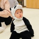 롯데중동숲