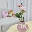 영통,망포역) 퓨어브로우_속눈썹펌,연장 위치/후기