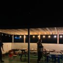 플로리다 대탄 이미지