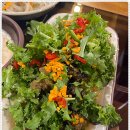 마니산 산채 이미지