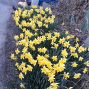 샬롬카센타 이미지