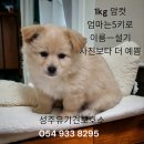 고평주유소 티스토리