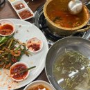 삼척 교동 맛집 삼척 교동 술집 50년 전통 명인의...에서 즐긴 역대급 가성비 '양은이네 세트' 후기