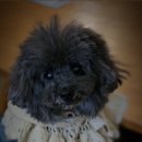 방배천로8길 16-1 이미지