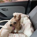 요요노래방 이미지