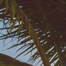 심포니성형외과의원 이미지