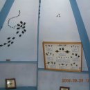 다솜농장 이미지