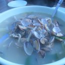 민속촌칼국수