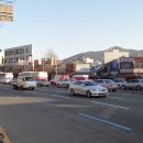 고려인삼총판 - 103033 | 고려인삼총판