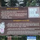 며느리 친정집 화전 이미지