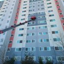 포란재로 이미지