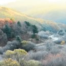 비밀정원12 이미지