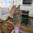 배우장목욕탕 | 20260111 타이베이 베이터우 + 단수이