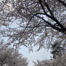 부귀리 마을회관 이미지