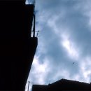 용호농장 2 이미지