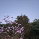 Indian Reservation 이미지