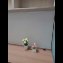 소호앤롬스테이