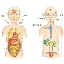 스마트페이스한의원 이미지
