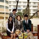 지용석 카카오 검색결과