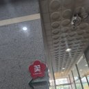 돈다발 - 시흥시 서울대학로278번길 8 | 남양읍꽃집/남양읍꽃다발/화성돈다발/남양읍돈다발추천/장미꽃