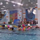 수영초등 이미지