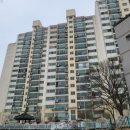 유림-1156 이미지