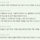 성진민박 이미지