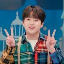 핸섬가이 이미지