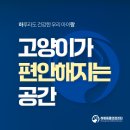 강한우리동물병원 이미지