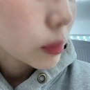 쥬베룩 볼륨 유지기간 총정리 ! 블룸 주기, 가격, 효과, 후기