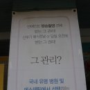소온미 네이버블로그