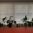 마루구조기술사사무소