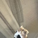 월배2차아이파크 이미지