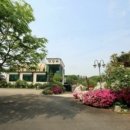 전망대누룽지백숙 이미지