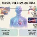삼중스터디