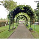 동남(아) 이미지