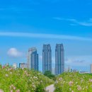 대숲향기 | 울산 대표 관광지 태화강국가정원 전기 관람차 십리대숲 대나무 무궁화정원 산책 코스