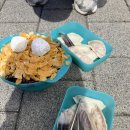 락 궁 | 여름 페스티벌을 가요☀️