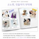 소노펫 동물병원 이미지