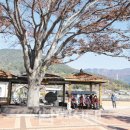 대사 마을회관 이미지