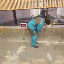 광명목욕탕 이미지