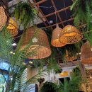 NR-1[영산로]-상-468 | 슴셋, 내일로 여행: 2일차