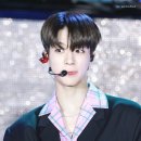 제노피시방 이미지