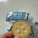 샌드순 | 내돈내산 롯데제과 신상과자 롯데샌드 파스퇴르 순우유맛 후기