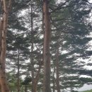 도두리공원 이미지