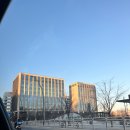 쉐마플라워 | [ 서울 강서 마곡 ] 코트야드 메리어트 서울 보타닉파크 연말 호캉스 / 브라이덜 샤워 후기