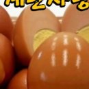 계란집 이미지