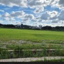 종합운동장(골프장) 이미지